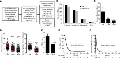 A Retrospective Study on Using a Novel Single Needle Cone Puncture Approach for the Iodine-125 Seed Brachytherapy in Treating Patients With Thoracic Malignancy